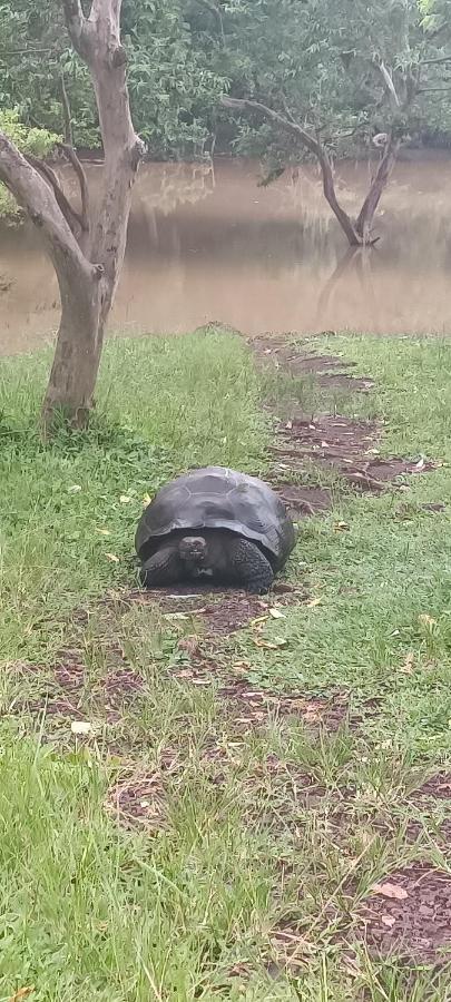 Mantarraya Panzió Puerto Baquerizo Moreno Kültér fotó